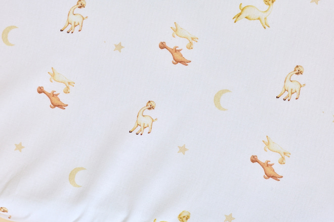 Lot de 2 Draps Housses pour berceau évolutif ovale - Lama