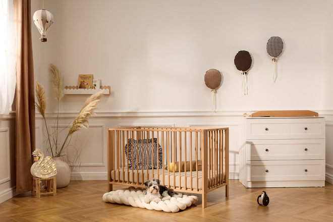 Set di 3 Cuscini Pallone Decorativi - 2