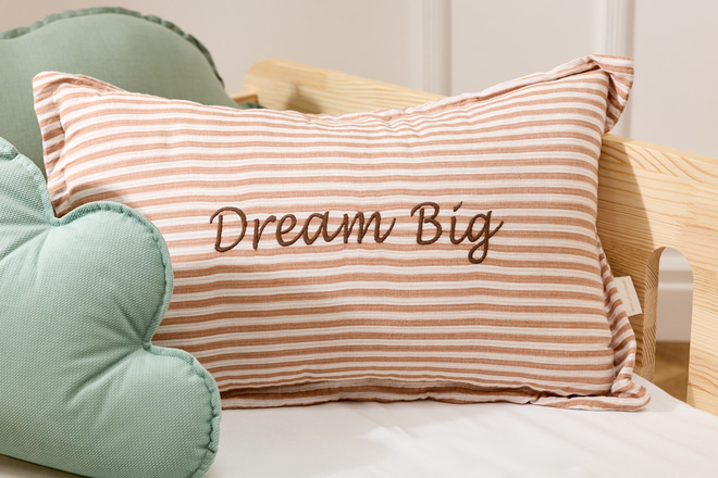 Dream Big Cushion - 4