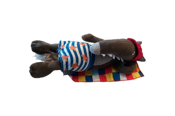 La peluche du Loup à la plage