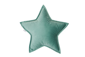 Mint Star Velour Cushion