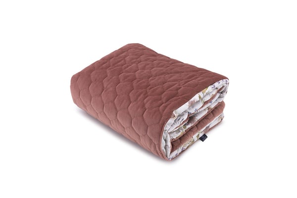 Coperta in velluto Fairies