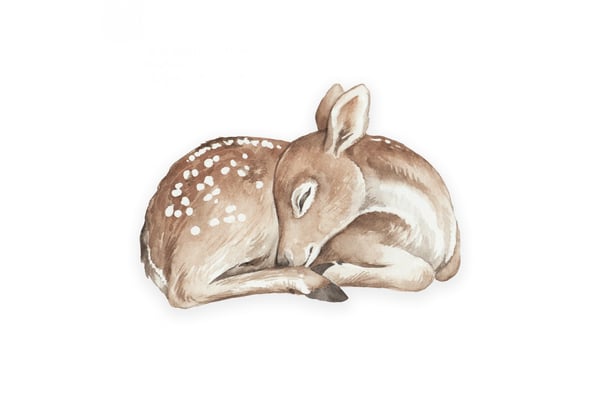 Fawn Baby Pillow