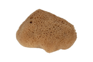 Natural Sea Sponge 