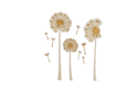 Décoration murale - Dandelion
