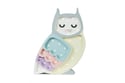 Little Lights Rainbow Owl Lamp