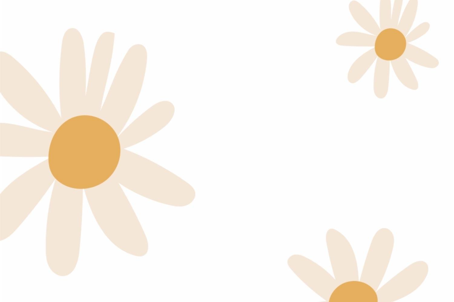 Daisies Wallpaper - White 