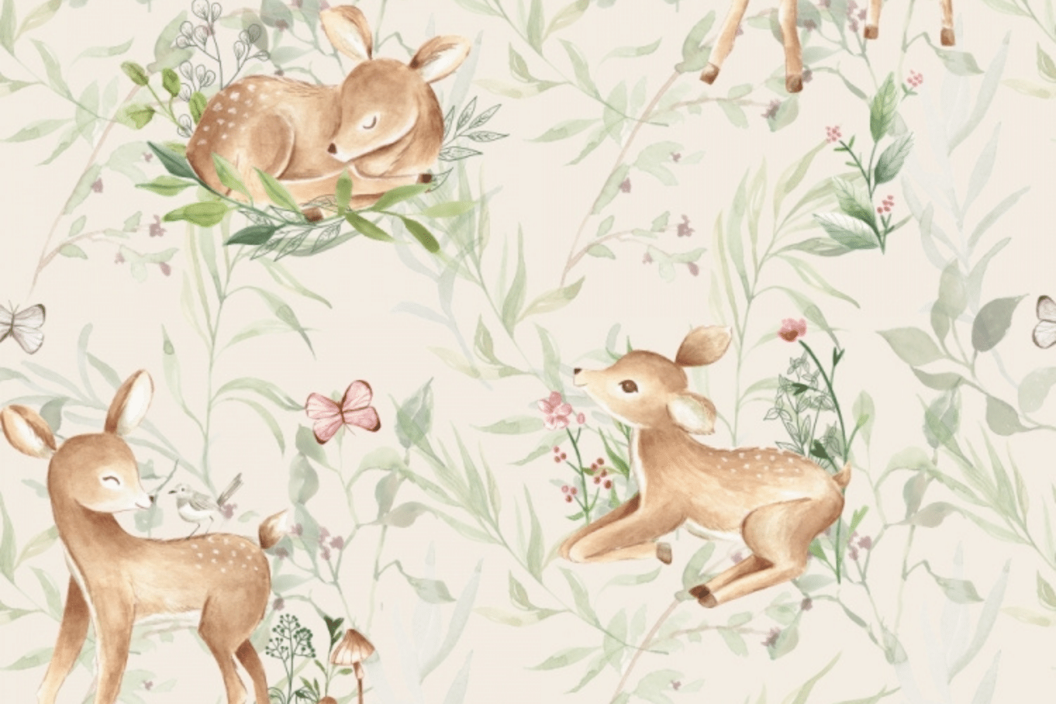 Fawn Wallpaper