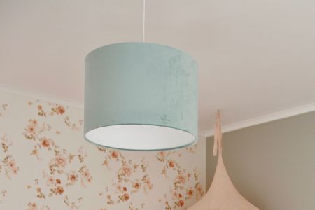 Mint Velvet Ceiling Lamp