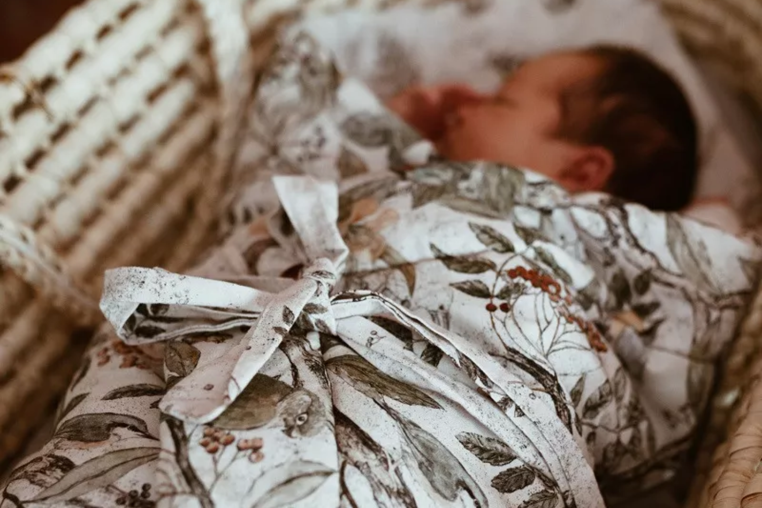 Ornithology Swaddle