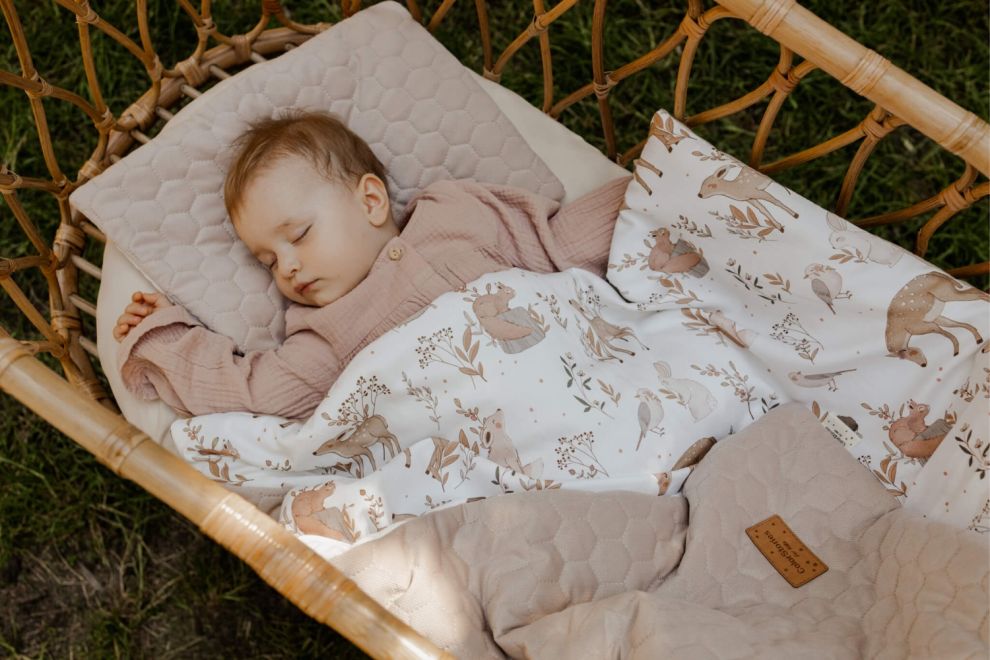 Set Babydecke & Kissen Samt Fairies