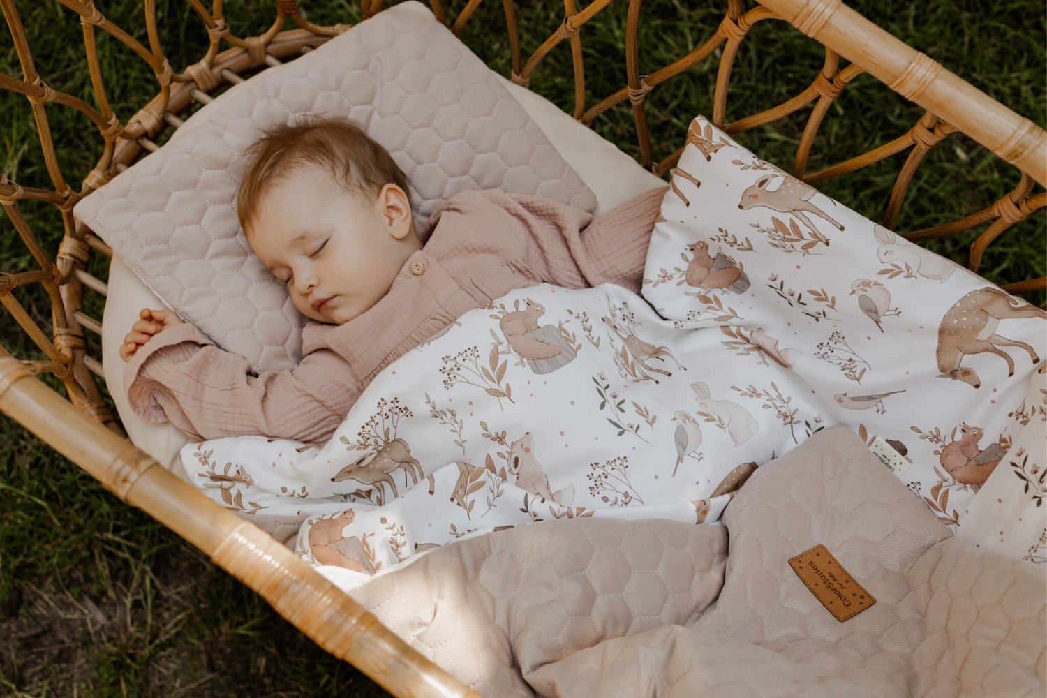 Forest Friends Minky Blanket and Pillow Set