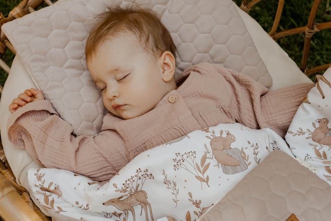 Coperte in Minky Forest Friends