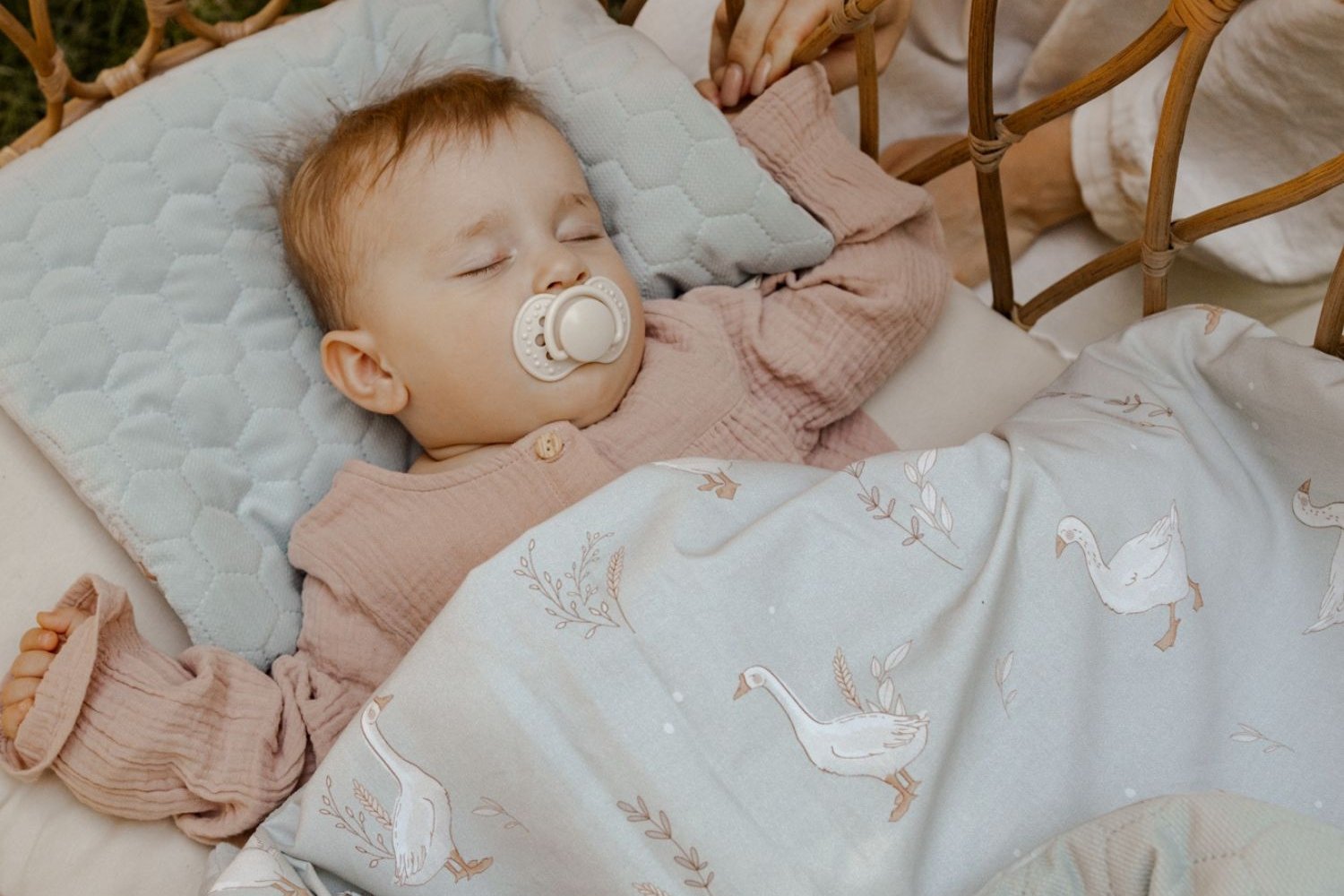 Happy Goose Minky Blanket and Pillow Set