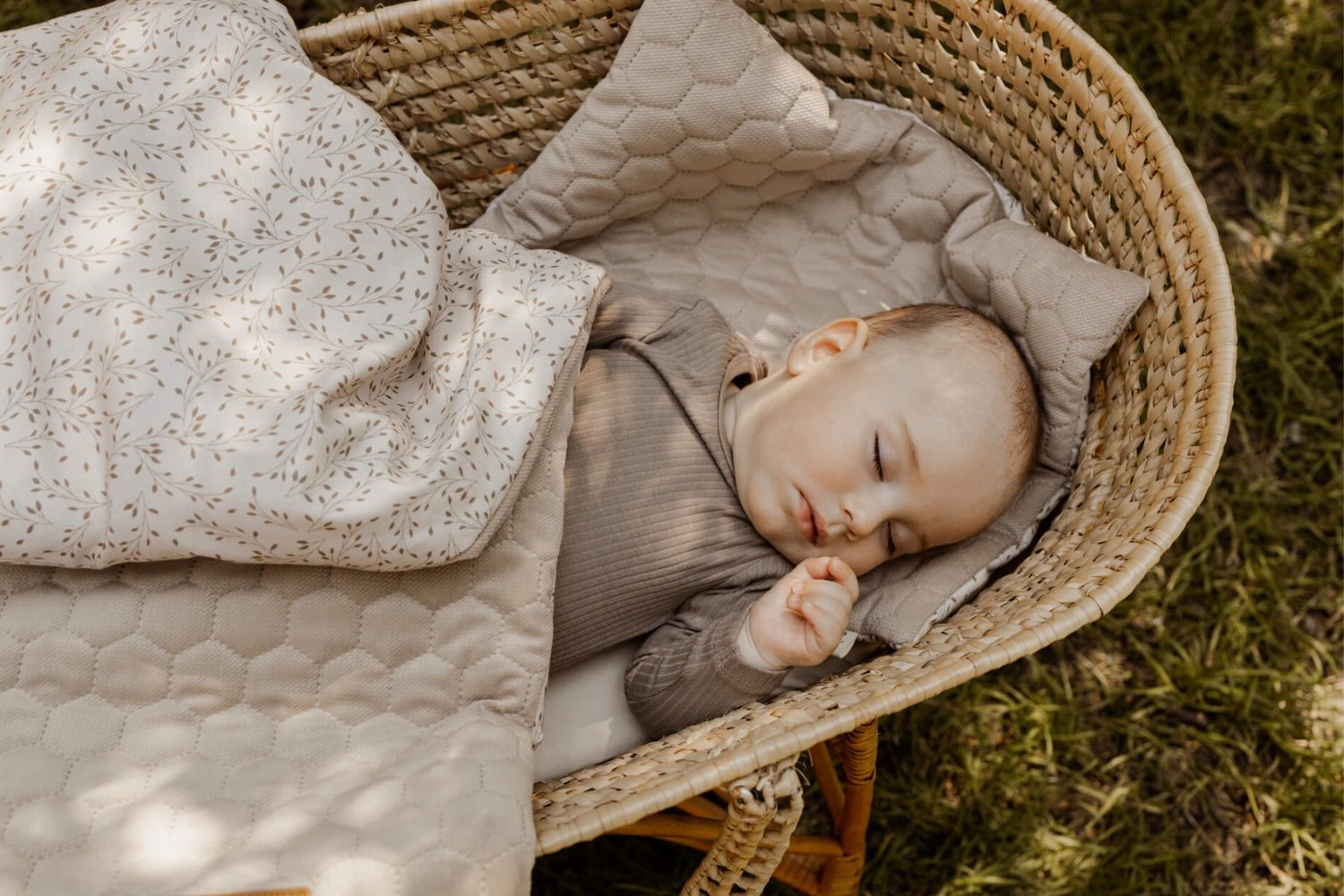 Herbs Minky Blanket and Pillow Set