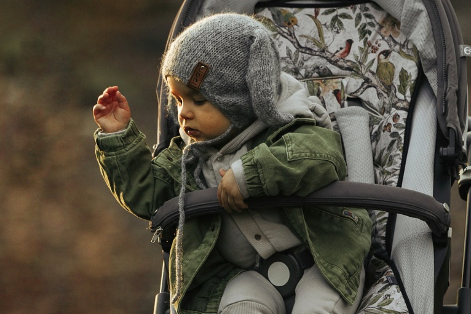 Ornithology Stroller Memory Seat Liner