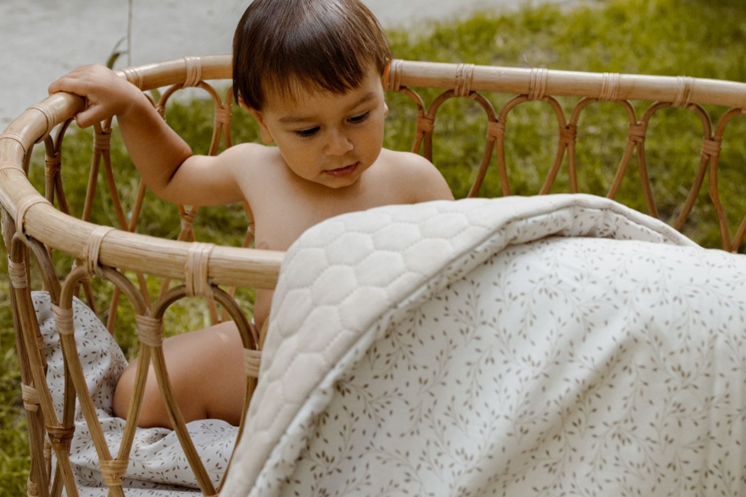 Herbs Minky Blanket and Pillow Set