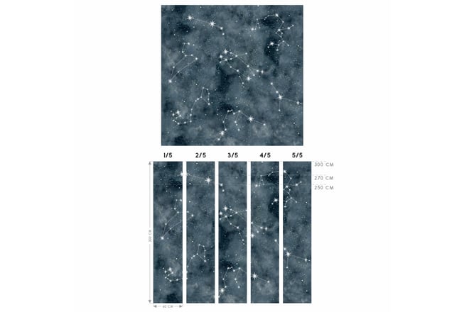 Carta da parati Costellazione 2.7m x 3m