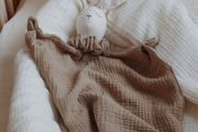 Peluche Conejo - Frambuesas