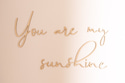 Décoração de Parede - You Are My Sunshine
