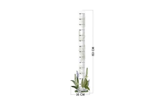 Toise Plantes