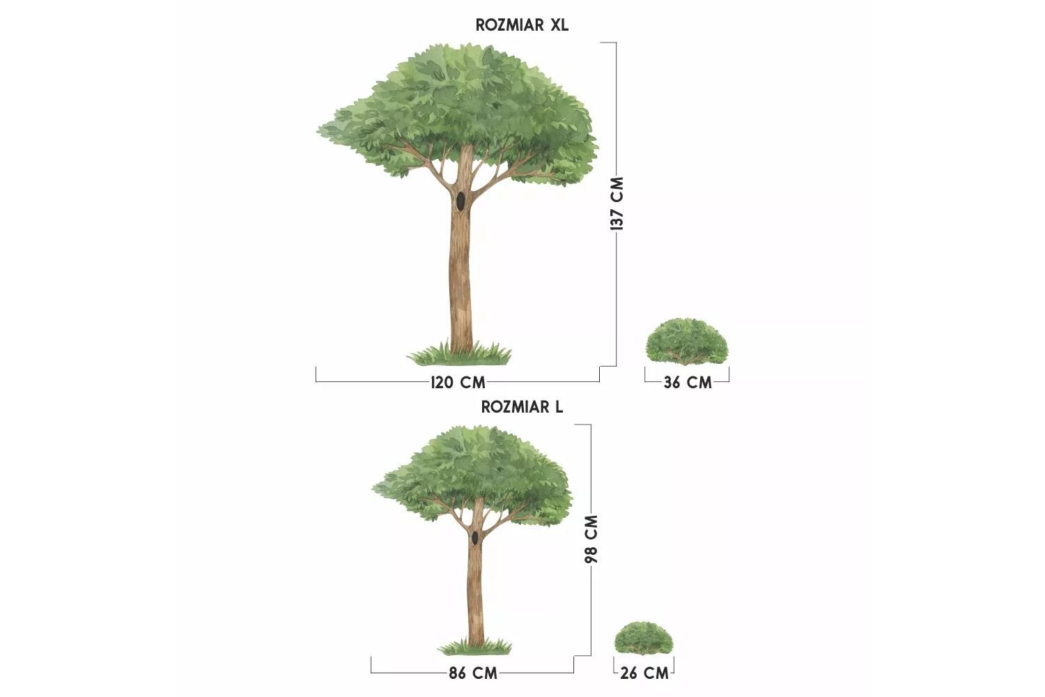 Tree and Animals Tree and Animals