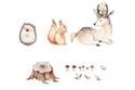Stickers Corça, esquilo e ouriço