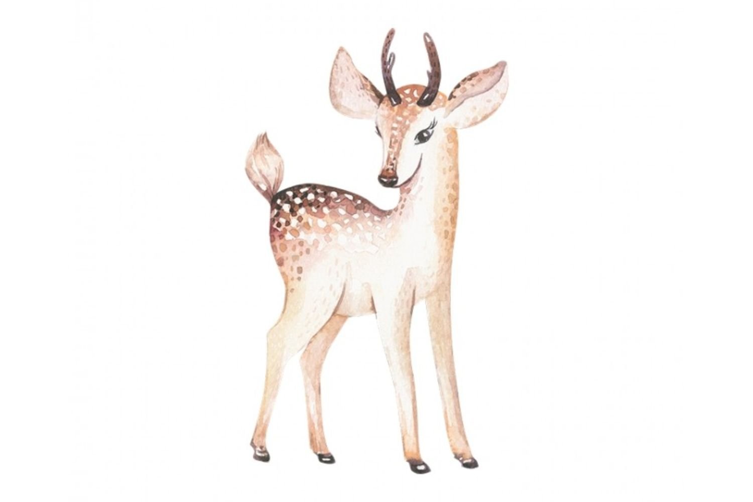 Cerbiatto Cerbiatto
