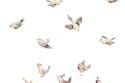 Stickers Passarinhos