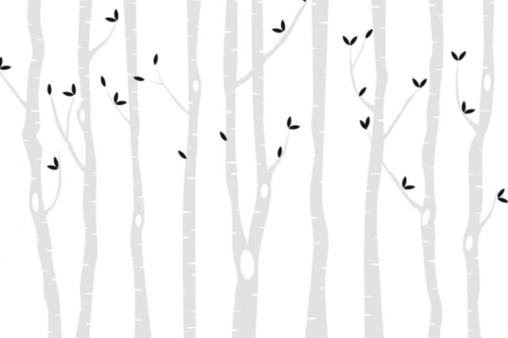 Birches and Leaves