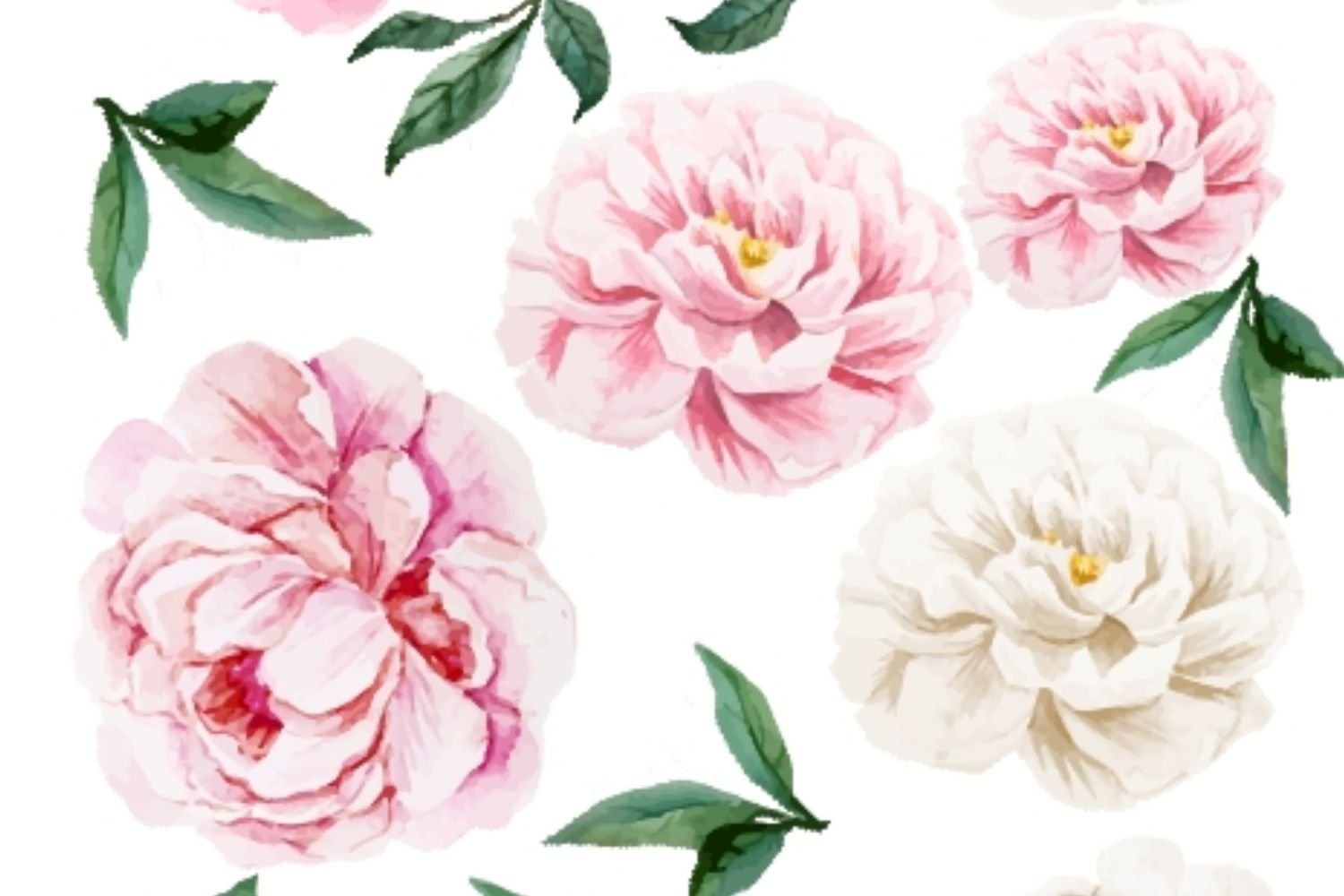 Peonies III