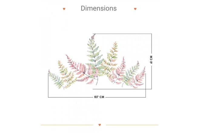Ferns L
