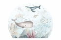 Whales Sticker