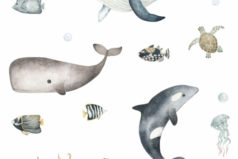 Whales Sticker Set