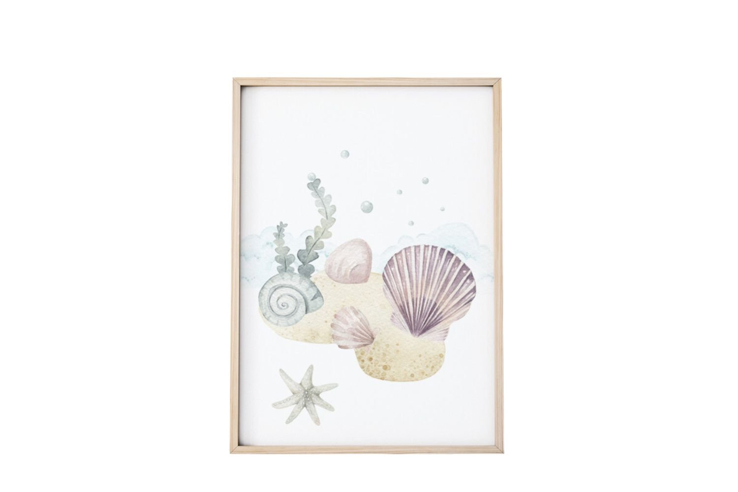 Seashells Poster