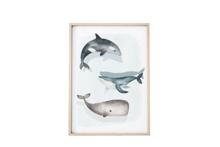 Image Baleines