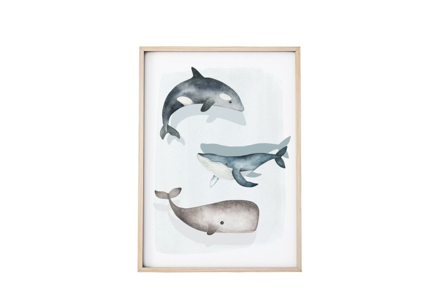 Whales Poster