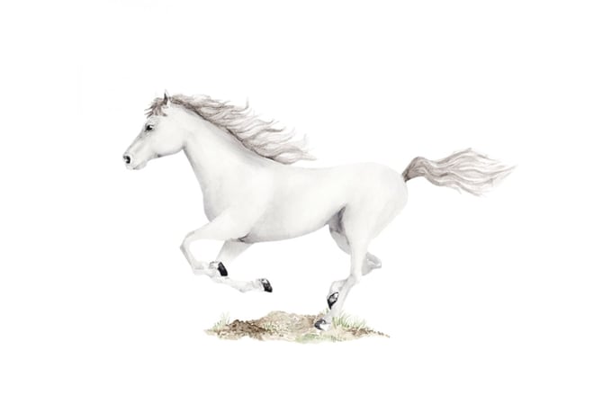 Sticker Cheval Blanc