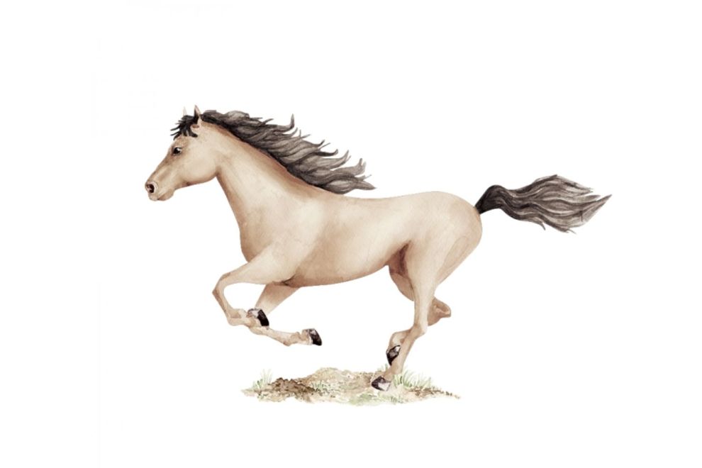 Caramel Horse