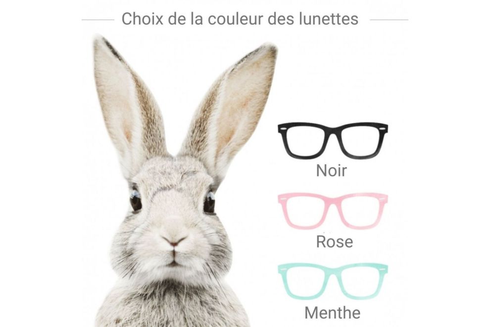 Sticker Lapin Stephan - Lunettes