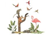 Stickers flamand, singes et oiseaux