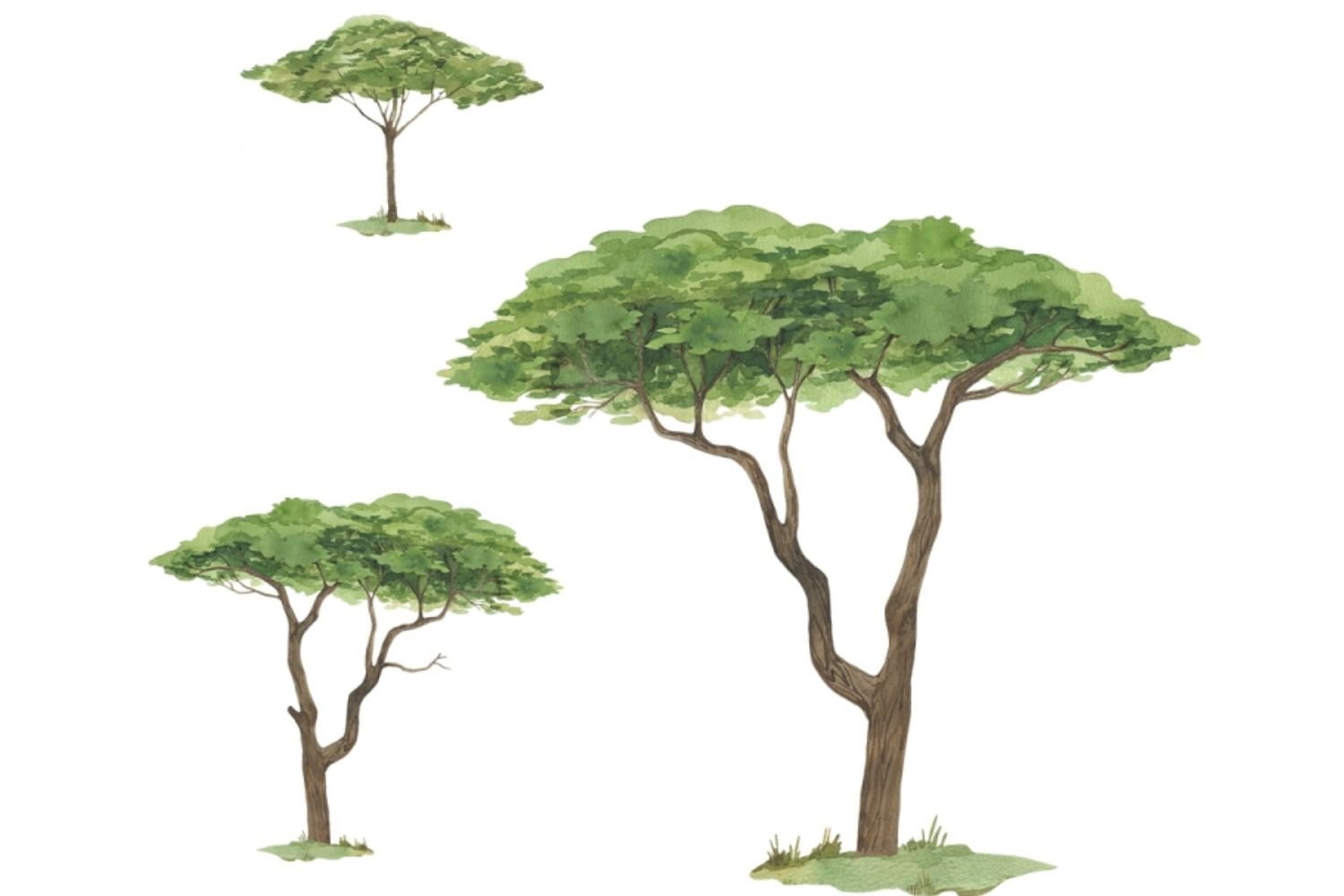 Tree Stickers