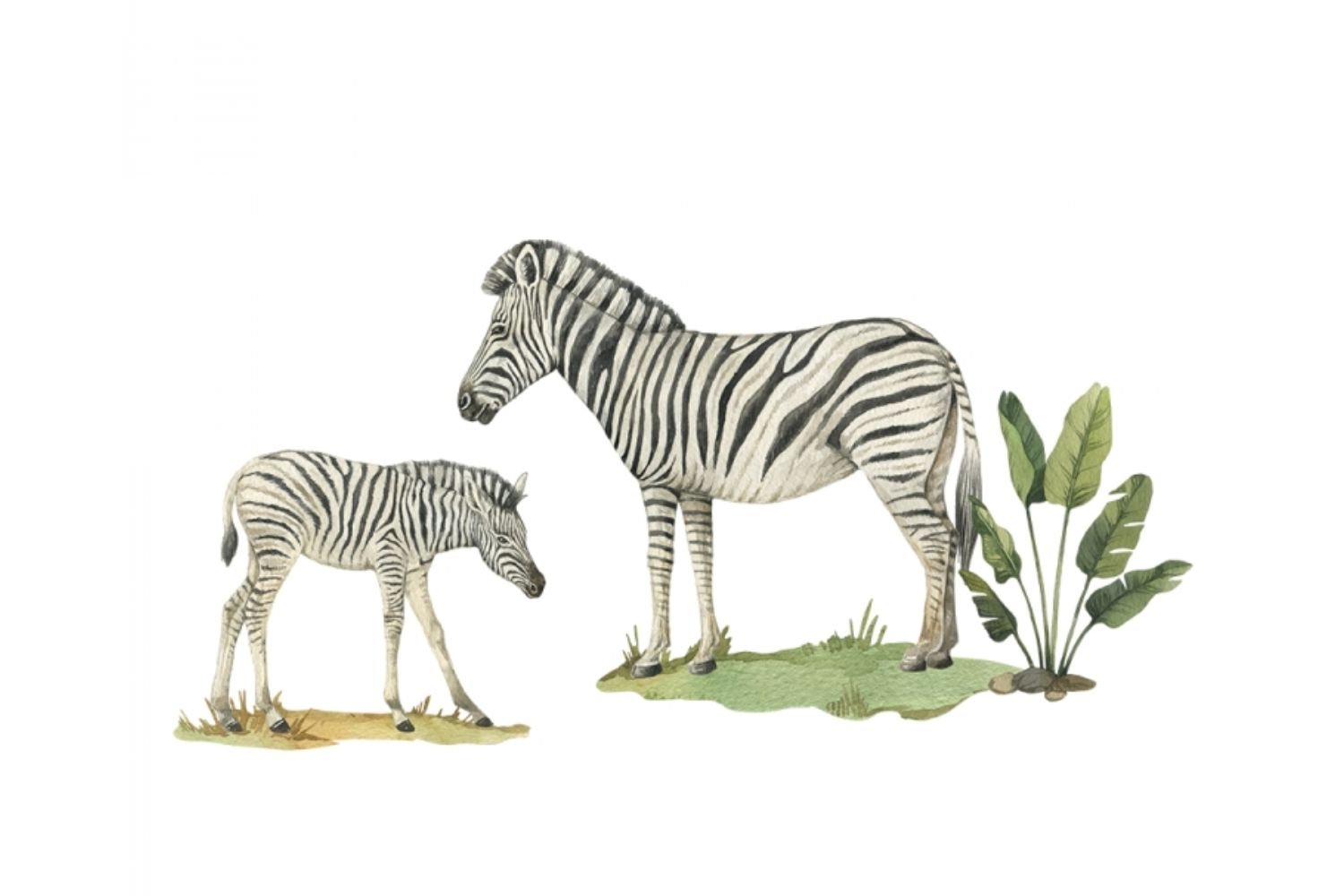 Zebra Stickers