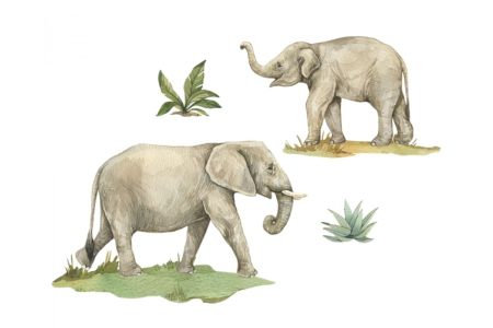 Autocolante Elefantes
