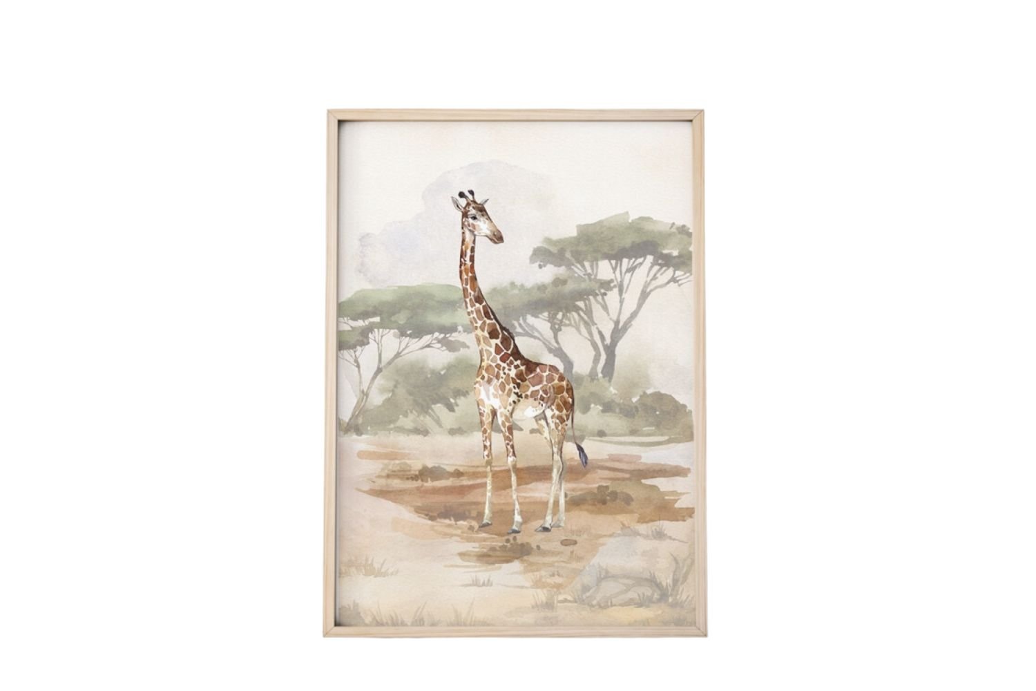 Giraffe Bild