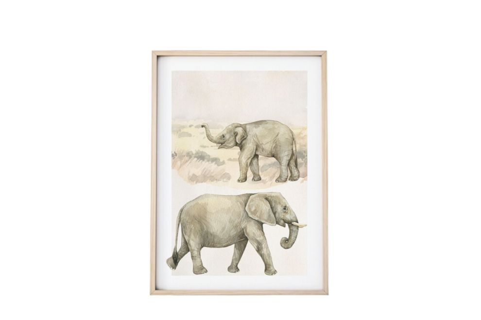 Imagen Elefantes
