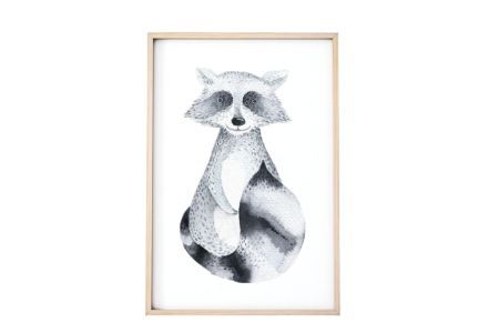 Raccoon Poster