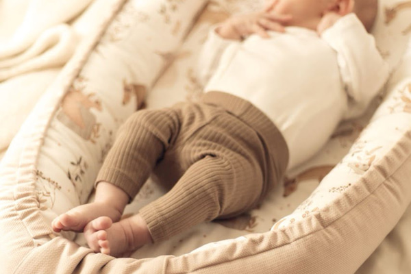 Reductor de Cama Forest Friends