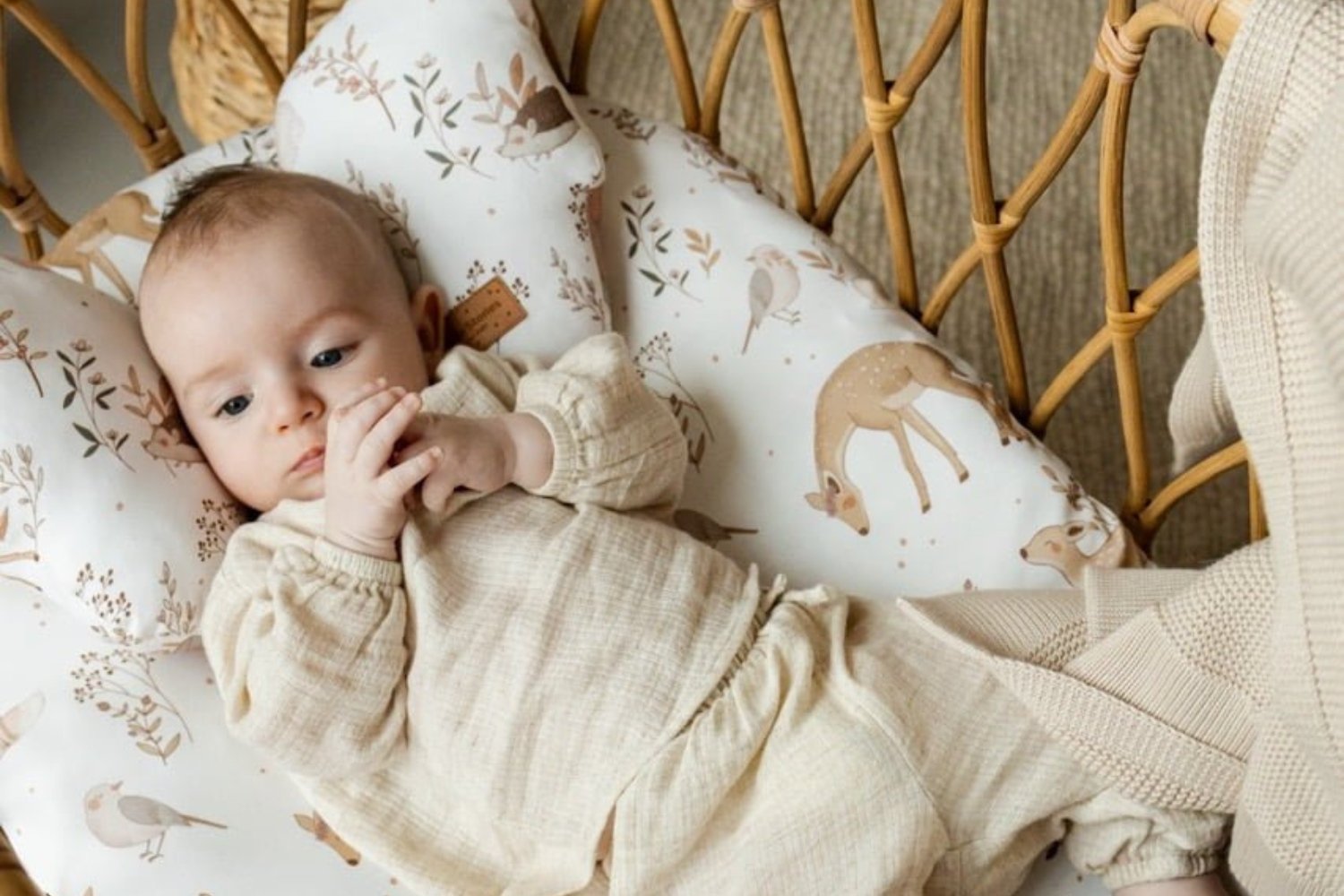 Coussin pour Bébé Ours