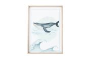 Image Baleine